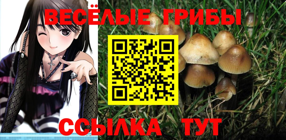 Псилоцибиновые грибы мицелий Воткинск