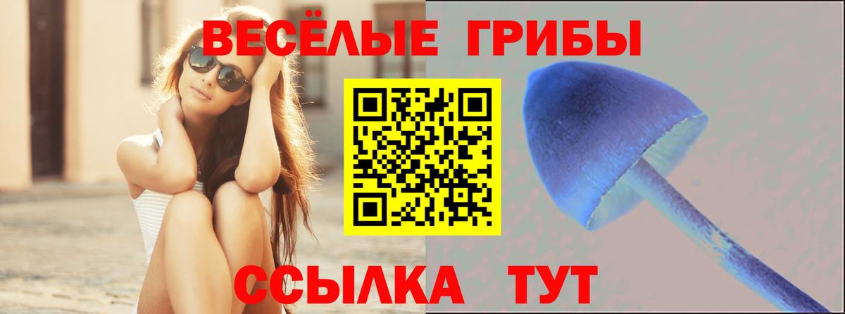 Галлюциногенные грибы Psilocybe  купить наркоту  Псилоцибиновые грибы Psilocybe  Воткинск  Вход с VPN 